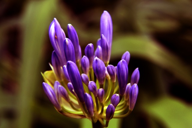 英超：曼联平利物浦.