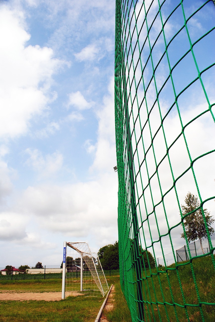 拉斐爾萊昂個人資料.