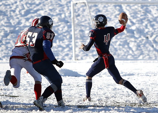 新闻近日在 新闻近日在