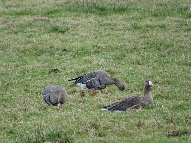 富勒姆確認十人離隊！.