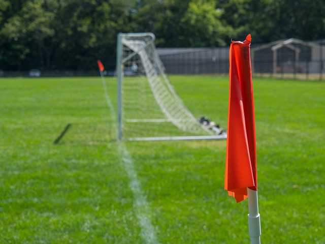 文化和开放 文化和开放