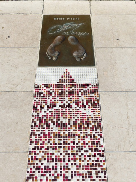 引入一些成 引入一些成