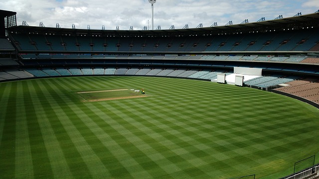 需要果斷的 需要果斷的